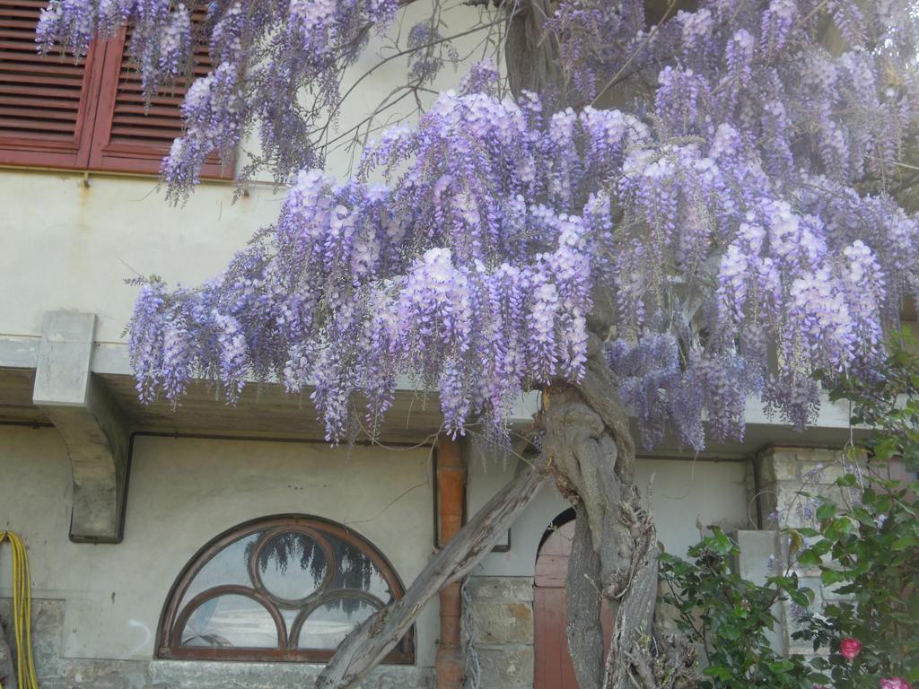 Bel Panorama Tre Casa de hóspedes Pelago Exterior foto